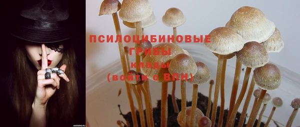 MESCALINE Осинники