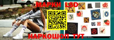 мдпв Кудрово