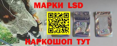 мдпв Кудрово