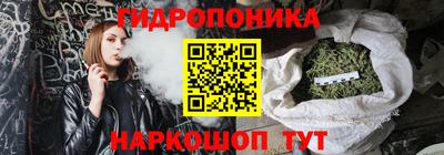 индика Кудымкар