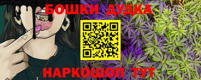 индика Кудымкар