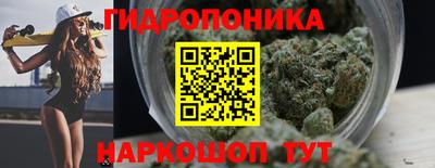 индика Кудымкар