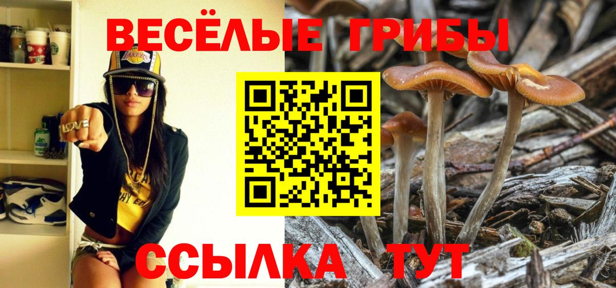 Ялта  Псилоцибиновые грибы Psilocybine cubensis  Вход с VPN 